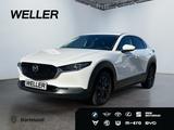 Mazda CX-30 SKYACTIV-G 2.0 M-Hybr SELECTION *360°*BOSE