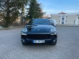 Porsche Cayenne S E-Hybrid Platinum Edition*PANORAMA*NAV - Porsche Cayenne mit Hybrid-Antrieb: Geländewagen