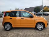 Fiat Panda Base *Hybrid, Klimaanlage* - Fiat Panda mit Hybrid-Antrieb