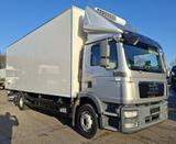 MAN TGM 15.250 4x2 BL Tiefkühler ThermoKing V-800Max - MAN V8