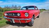 Ford Mustang V8 Coupe, GT, Pony, Servo, ESD, TOP! - Ford Mustang: Limousine