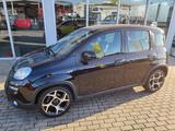 Fiat Panda Sport,Winterp.PDC,Sound,ALU8 fach 16",neuw - Fiat: Sport