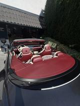 Bentley Continental GTC Mulliner - Bentley Continental GTC von privat