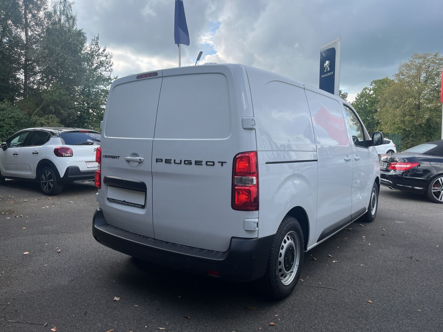 Fahrzeugabbildung Peugeot Expert KW Elektro Standard 75 kWh Navi Temp.