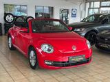 Volkswagen Beetle 1.2 TSI BMT Design Cabrio NAVI KLIMA PDC - Volkswagen Beetle: Rot, Cabrio
