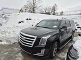 Cadillac Escalade 6.2 V8 Platinum ESV Autom. Platinum - Cadillac Escalade Gebrauchtwagen