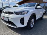 Kia STONIC 1.2 ED7 EMOTION Allwetterreifen Klima - weiße Kia Stonic