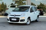 Fiat Panda 1.0 GSE S&S Hybrid Pop Van 2 posti GG - Fiat Panda POP mit Hybrid-Antrieb (Benzin/Elektro)