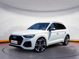 Audi SQ5 TDI quattro tiptr. PANO AHK AIR APP MEMORY K - Audi SQ5