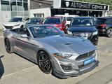 Ford Mustang Shelby Convertible Leder LED CarPlay  - Ford Mustang: Roadster, Shelby