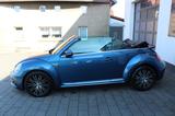 Volkswagen Beetle Cabriolet Design (RÜCKFAHRKAMERA,MWST.) - Volkswagen Beetle: Blau