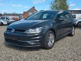 Volkswagen Golf 1.6 TDI SCR DSG Comfortline 924 - Volkswagen Golf mit Diesel-Antrieb: Kombi, Automatik, 1.9