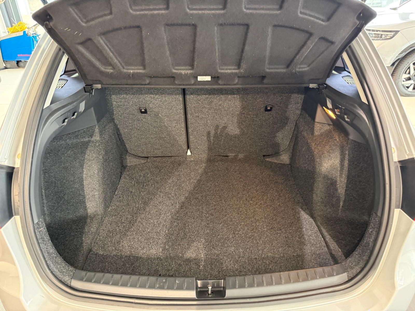 Seat Ibiza 2013 — photo 31