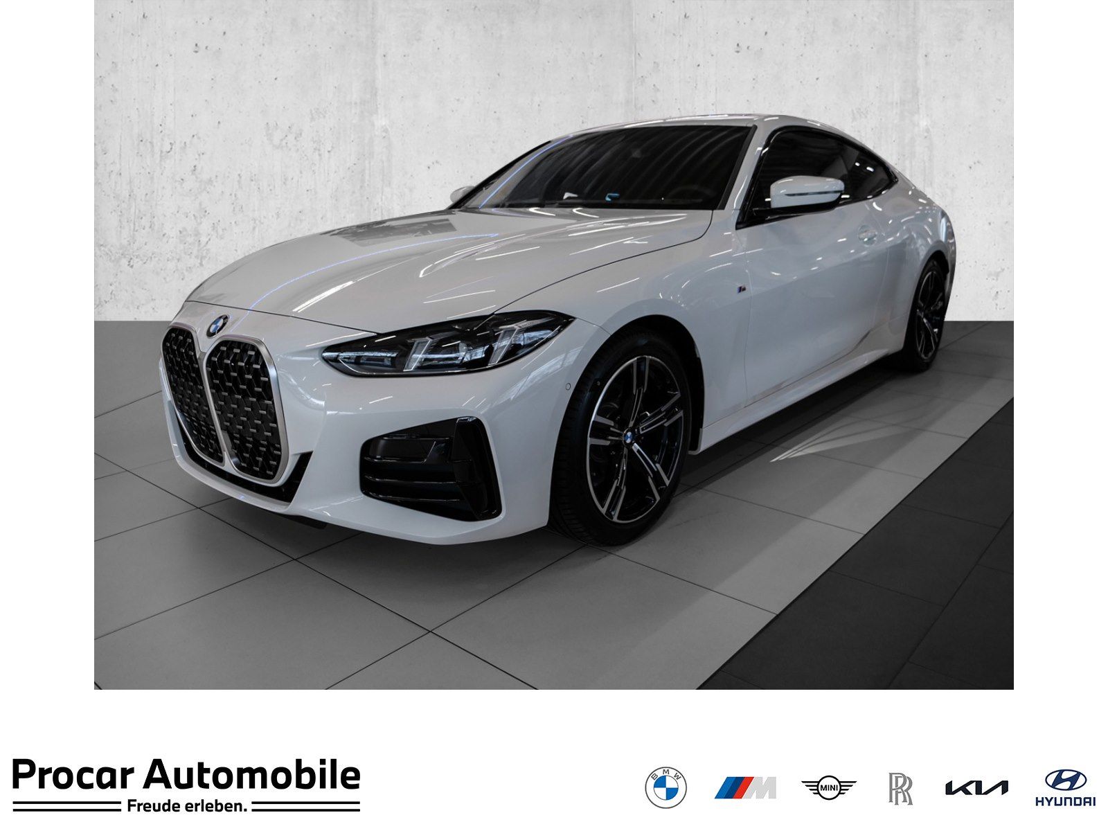 BMW 420i M Sport RFK NAVI LED GSD PDC V+H