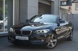 BMW 218i Cabrio Sport Line Navi Leder PDC vo+hi Xeno - BMW: Roadster, V2