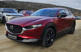 Mazda CX-30 2.5 e-SKYACTIV G 140 6AT Homura - Mazda Vorführfahrzeuge