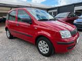 Fiat Panda 1.2 8V MyLive - Fiat Panda: My
