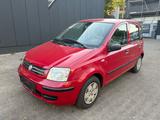 Fiat Panda 1.2 8V Dynamic/Automatik/98TsdKm/Tüv - Fiat Panda in Leverkusen