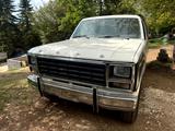 Ford Bronco U15, Baujahr 1980, 5.8L V8-C6-Auto 4x4 - Ford Oldtimer mit Benzin-Antrieb