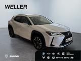 Lexus UX 250h Style Edition *Bi-LED*ACC*CAM*SHZ*CarPla - Lexus UX aus 2022