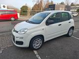 Fiat Panda Easy   1 HAND NUR 28300 KM SCHECKHEFT - Fiat Panda Gebrauchtwagen in Wuppertal