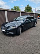 Jaguar jaguar xj Diesel - Jaguar XJ in Duisburg
