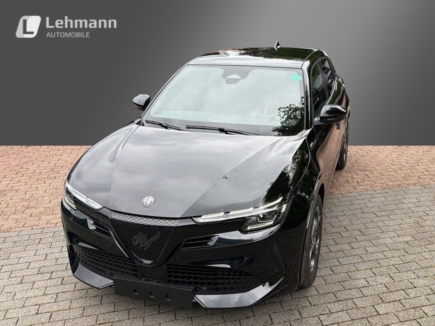 Fahrzeugabbildung Alfa Romeo Junior Elettrica Sport Speciale -Panorama-Wärmep
