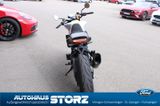 Husqvarna 701 VITPILEN 2.HAND NACH TAGESZULASSUNG| - Offers matching your search criteria