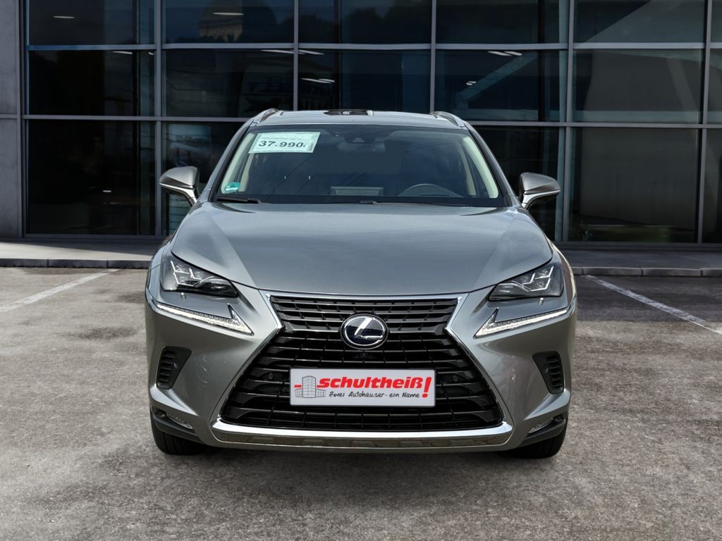 Fahrzeugabbildung Lexus NX 300h E-FOUR Luxury Line