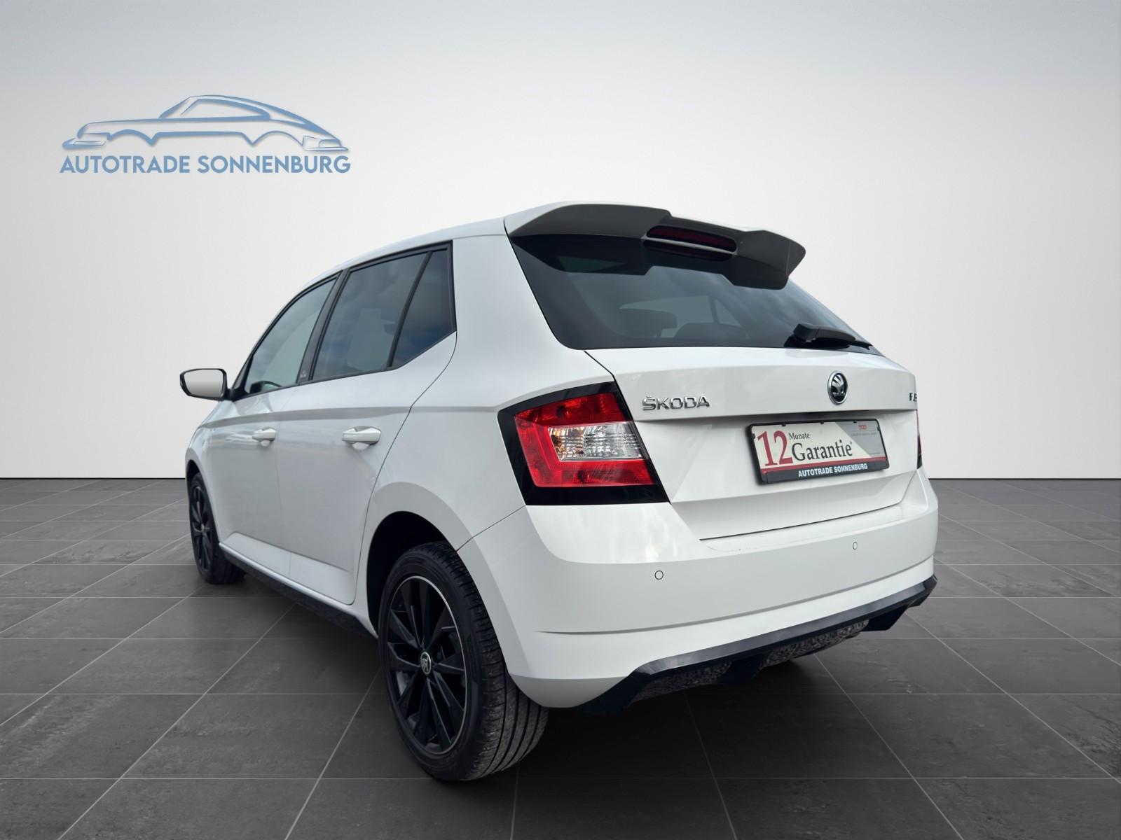 Skoda Fabia Monte Carlo*Panorama