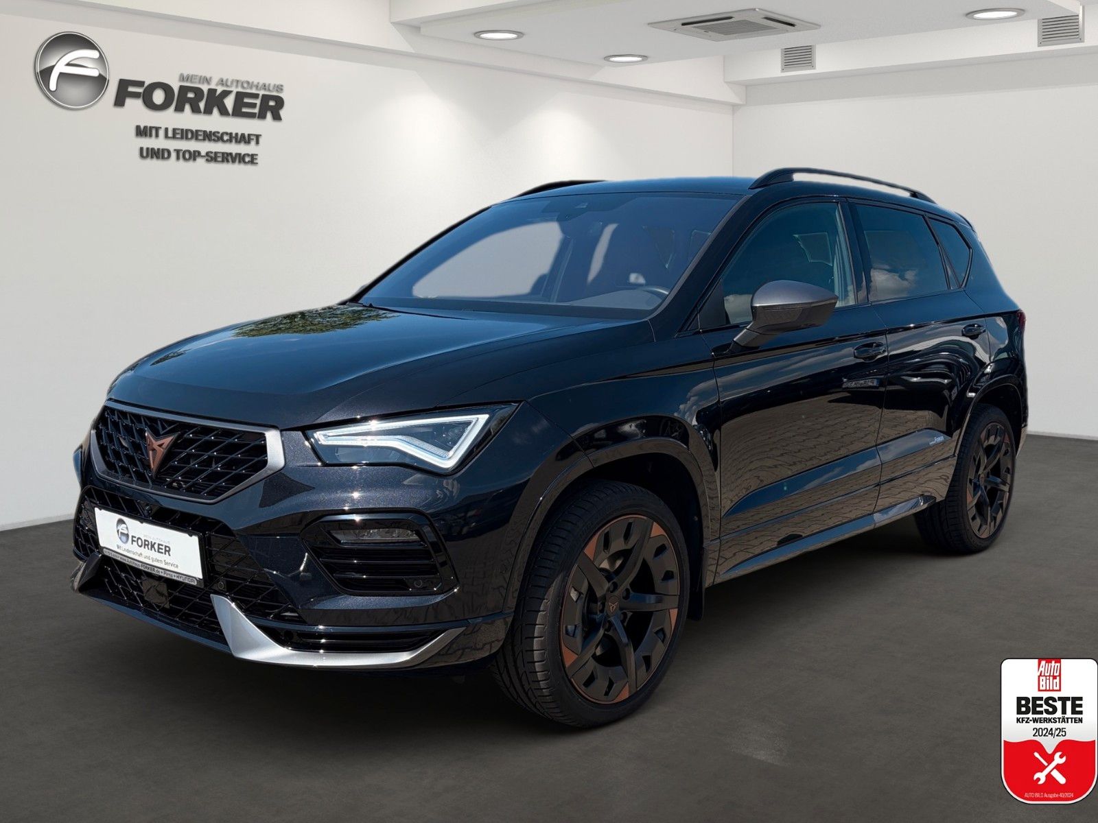 CUPRA Ateca Cupra Business Plus 360° Kamera Winterrä.