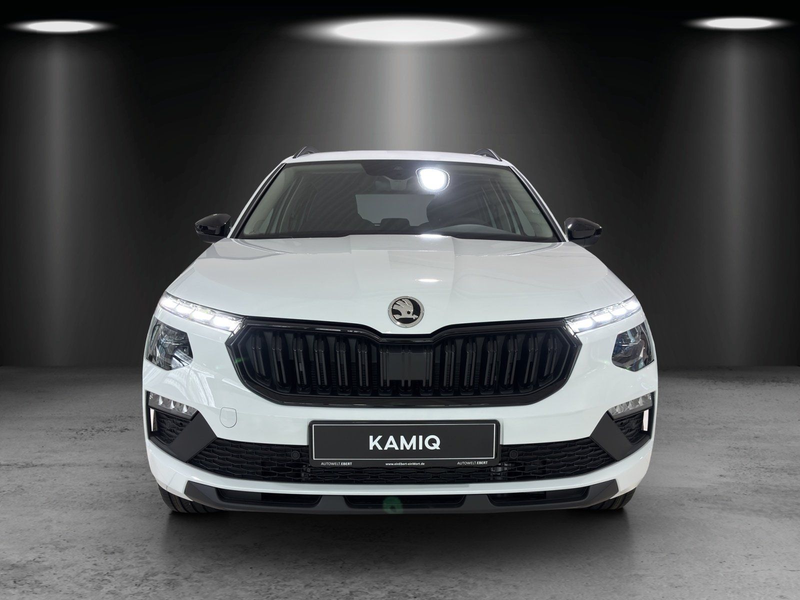 Fahrzeugabbildung SKODA Kamiq Tour 1,0 TSI 85 kW DSG RFK/LED/el. Heckkl.