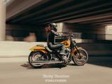 Harley-Davidson FXBB Street Bob 117 MY25 SOFORT VERFÜGBAR - Offers