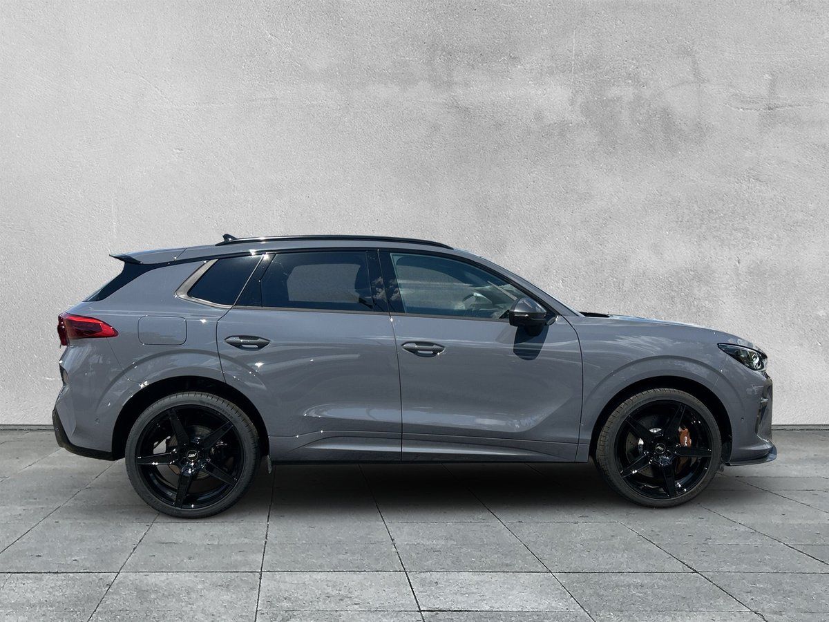 Cupra Terramar - Bild 6