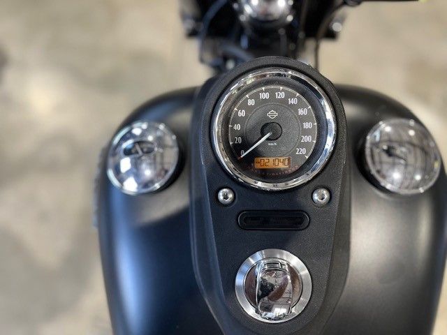 Fahrzeugabbildung Harley-Davidson FXDB Street Bob