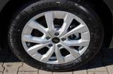 Ford Grand Tourneo Connect Titanium PHEV 4,99%* - Ford Grand Tourneo Neuwagen