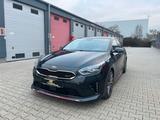 Kia ProCeed GT ACC PANO KAMERA JBL MwsT 1Hand - Kia in Mainz