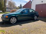 BMW 318i E46 Bostongrün Xenon Klima Schieb... - BMW 318 aus 2000: 318i