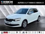 Skoda Fabia III 1.0 MPI  Allwetter SHZ PDC Cool KLIMA