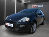 Fiat Punto 1.2 Young Klima PDC Tagfahrlicht - Fiat Punto: 1.2