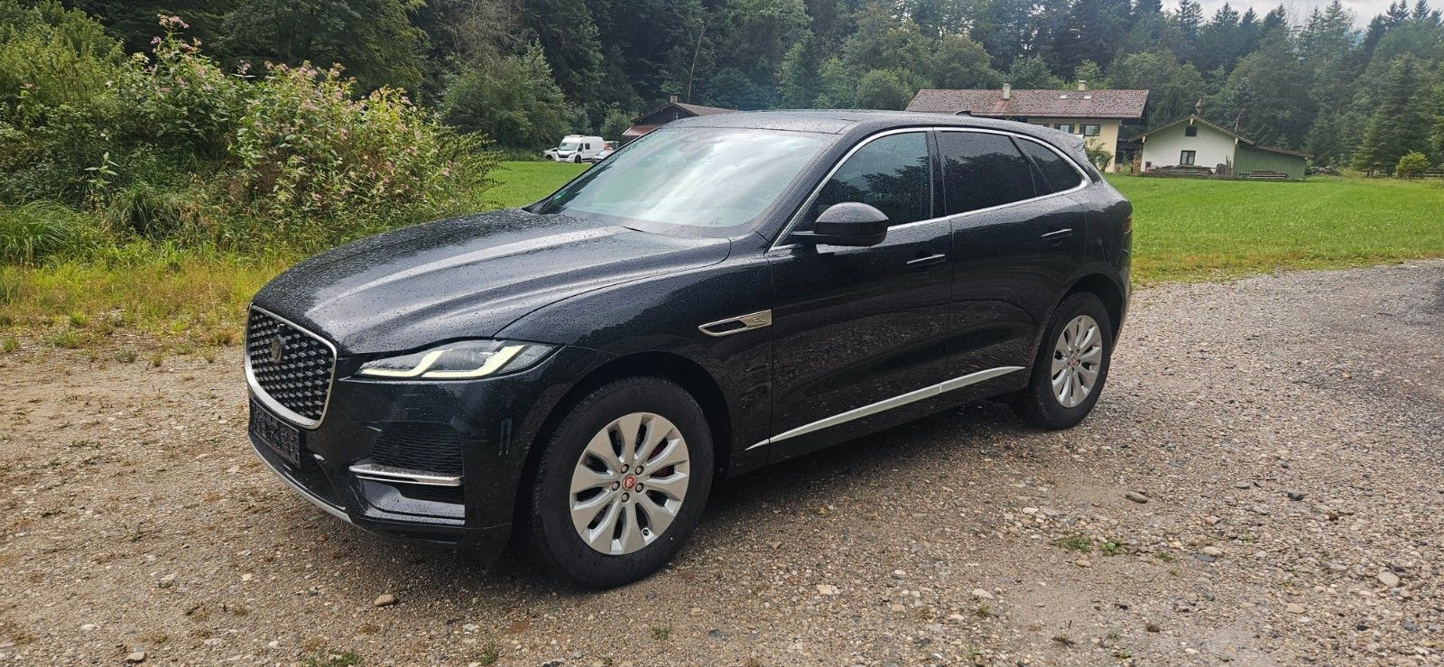 Jaguar F-Pace AWD eSSD,8fach 360Grad,Leder,AHK