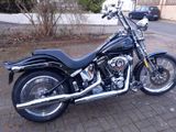 Harley-Davidson Softail Springer - HARLEY-DAVIDSON 2006 SOFTAIL