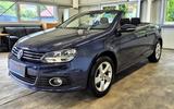 Volkswagen Eos Cabrio|1.HAND|KLIMA|SITZHEIZUNG - Volkswagen Eos: Blau
