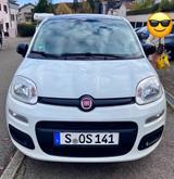 Fiat New Panda 1.2 8V SONDERMODELL YOUNG - Fiat New Panda in Stuttgart