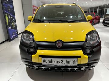 Bild 1 Fiat Panda Pandina Cross