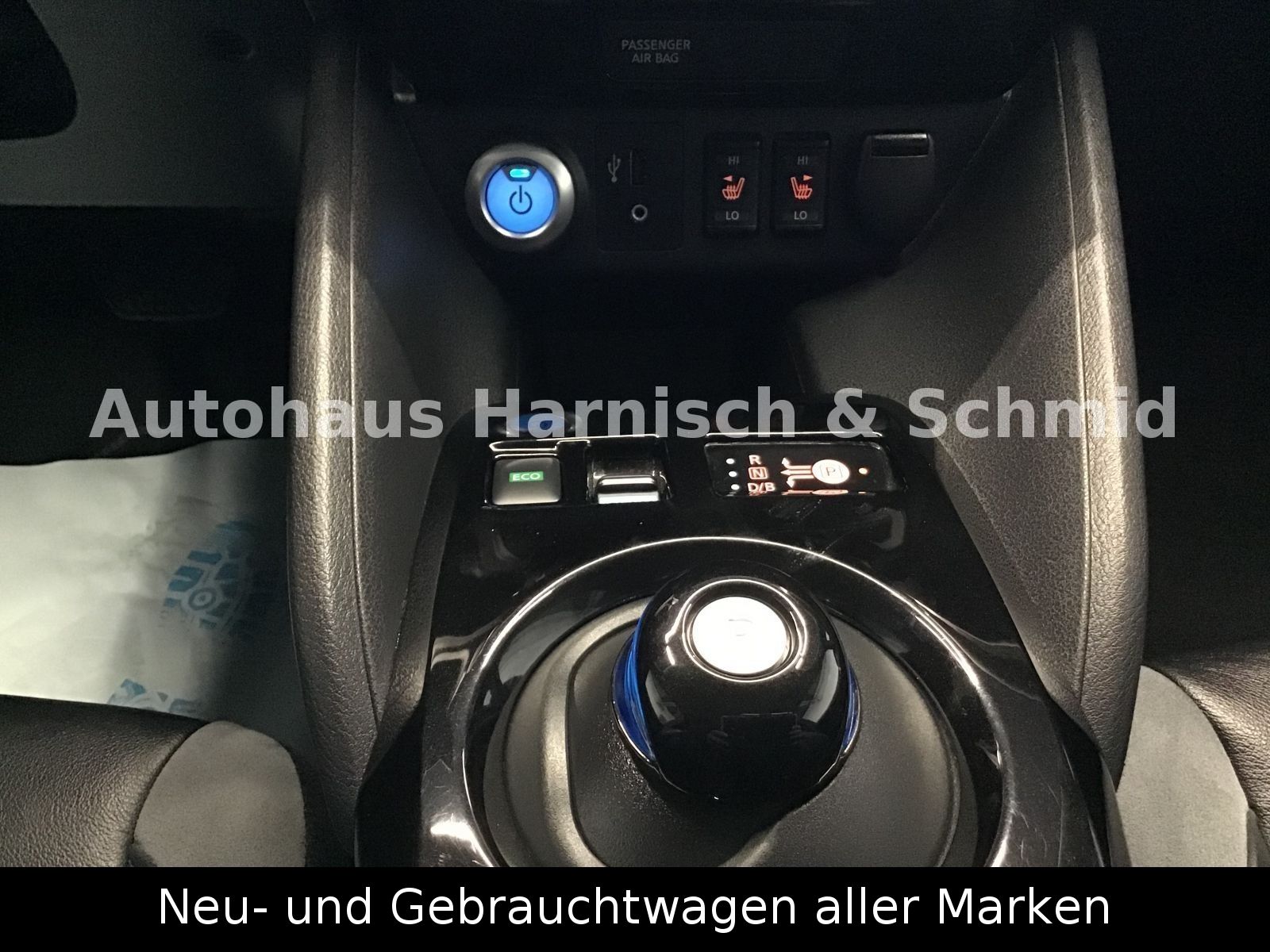 Fahrzeugabbildung Nissan Leaf 40 kWh Anhängerkuppl. - Tekna - Leder, BOSE