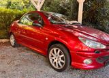 Peugeot 206 CC Filou 110 Filou - Peugeot 206: Rot, Leder