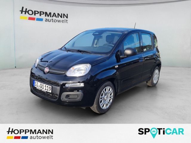 Image of Fiat Panda