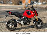 Honda MSX 125 A 2023 Modell inkl. Zubehör - HONDA MSX