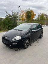 Fiat Punto 1.2 - Fiat Punto aus 2015